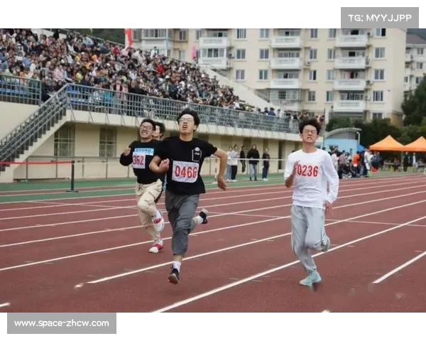 聚焦体育文学发展记者笔触深描赛场内外动人故事与时代风貌