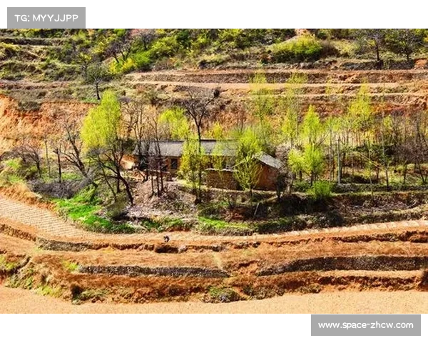 参赛车手称壶关赛道融合绝壁、深谷、溪流与村落景观,体验独特